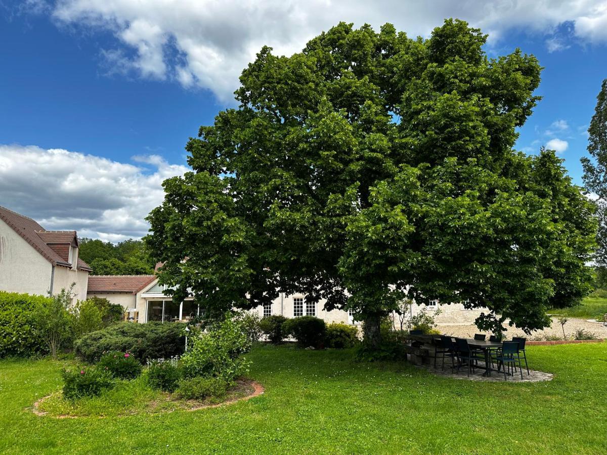Domaine De Couilleuse Hotel Saint-Laurent-Nouan Buitenkant foto