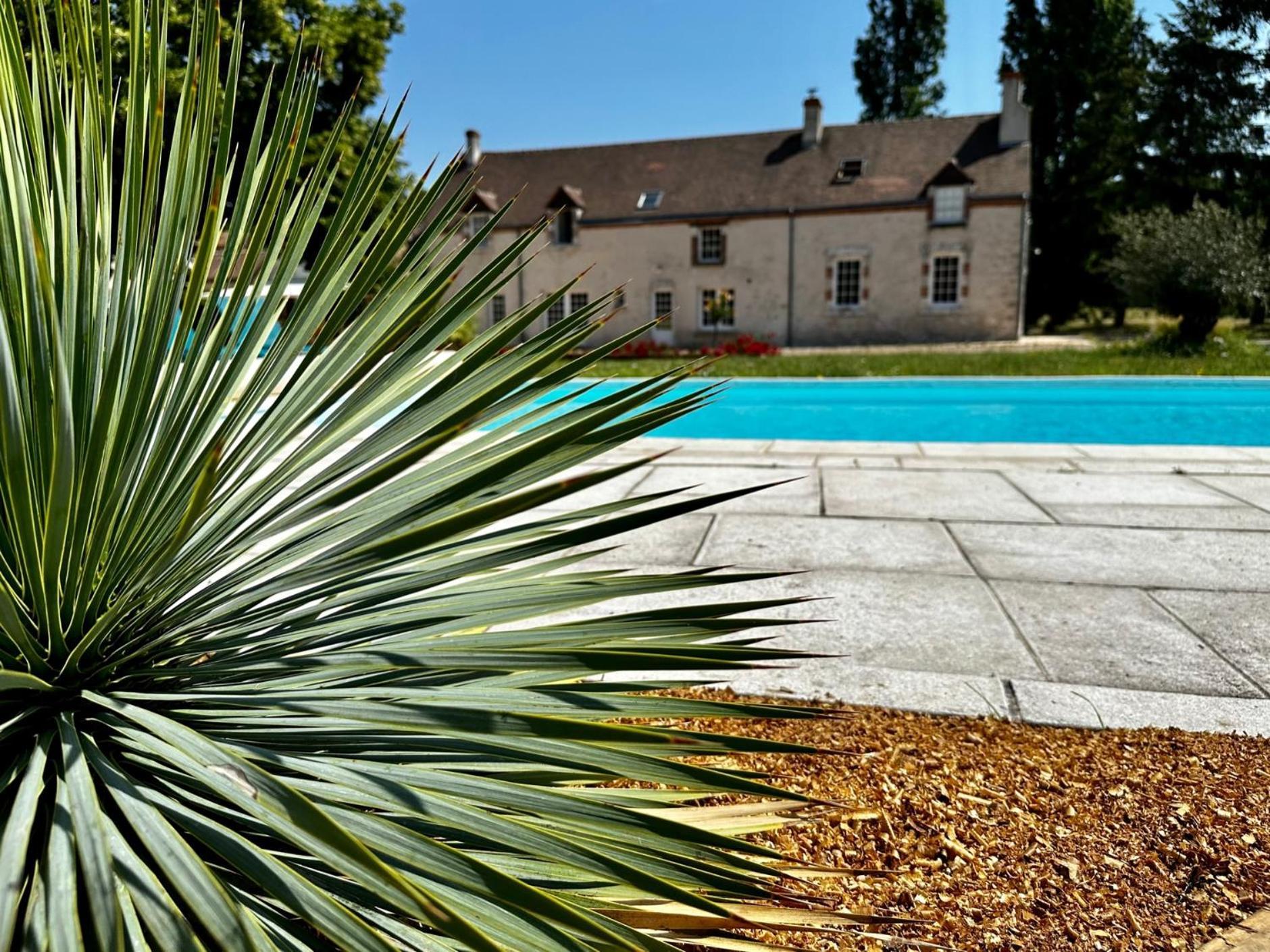 Domaine De Couilleuse Hotel Saint-Laurent-Nouan Buitenkant foto