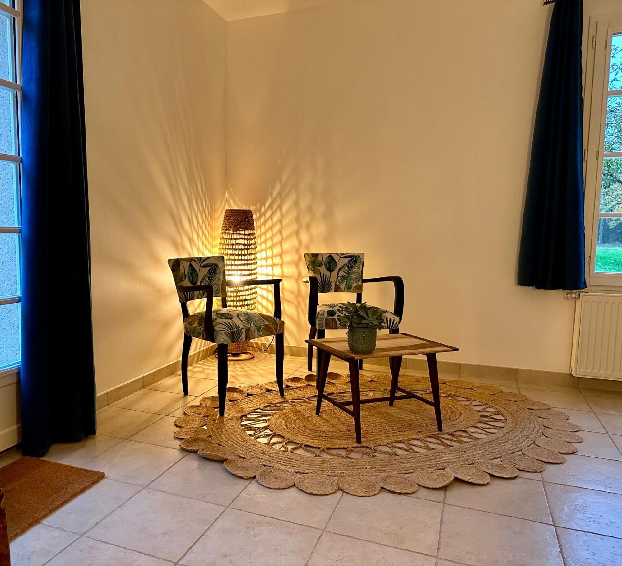 Domaine De Couilleuse Hotel Saint-Laurent-Nouan Buitenkant foto