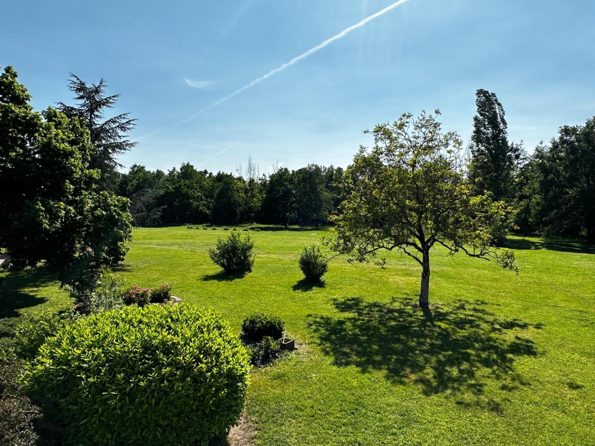 Domaine De Couilleuse Hotel Saint-Laurent-Nouan Buitenkant foto
